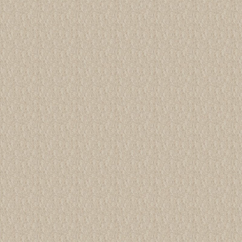 Casa Grande carpet by Masland