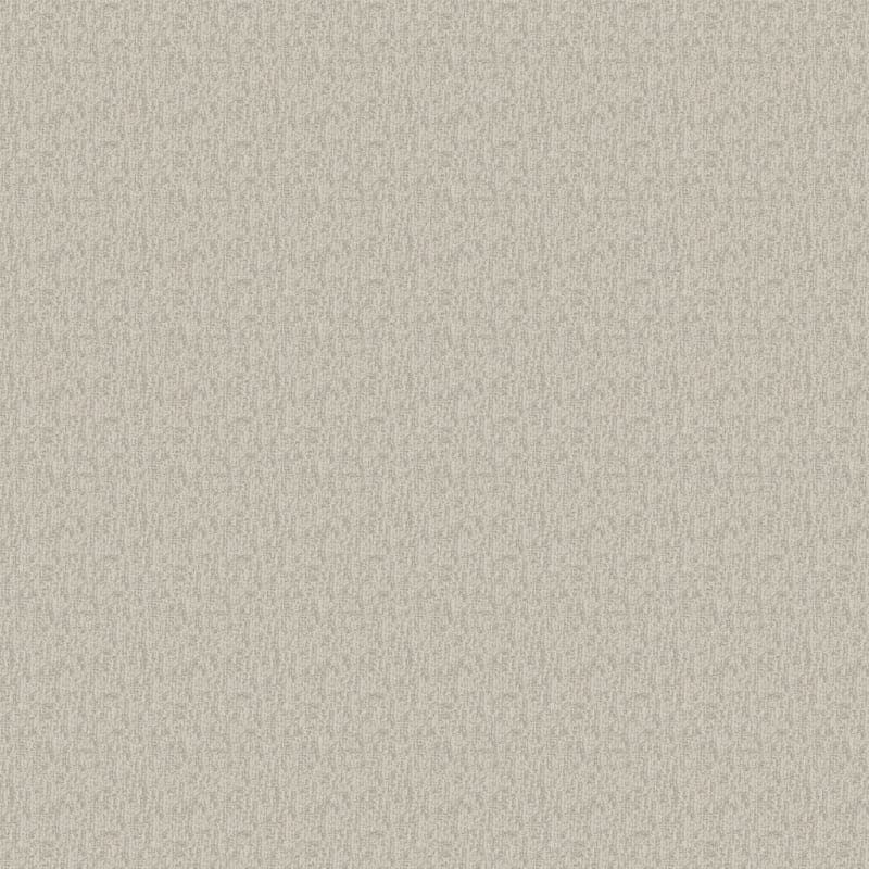 Casa Grande carpet by Masland