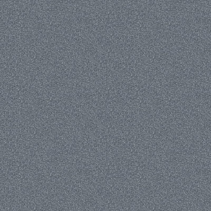 Hunter carpet by Masland