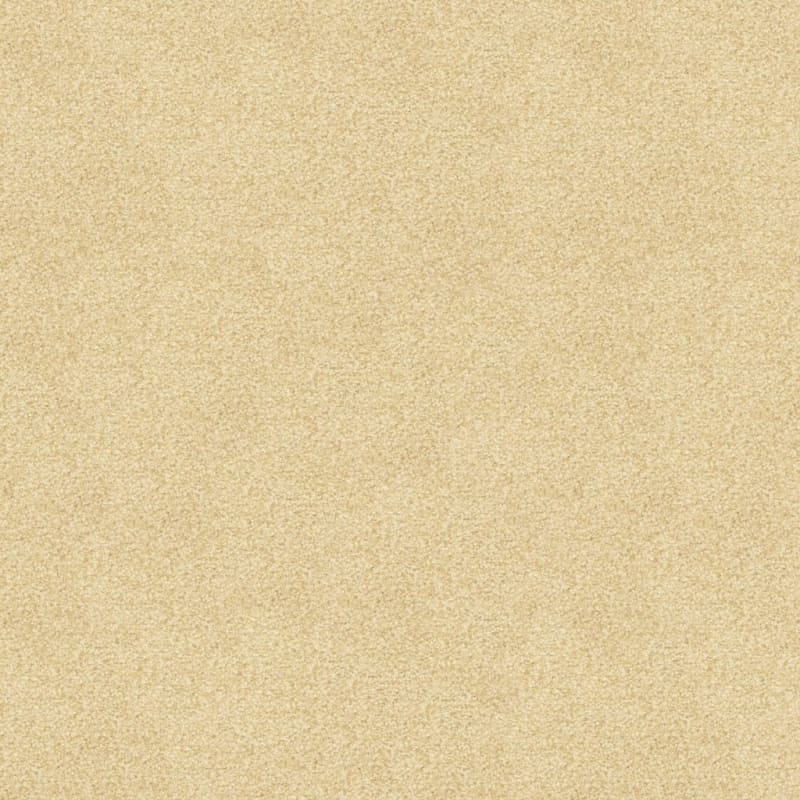 This And That carpet by Masland