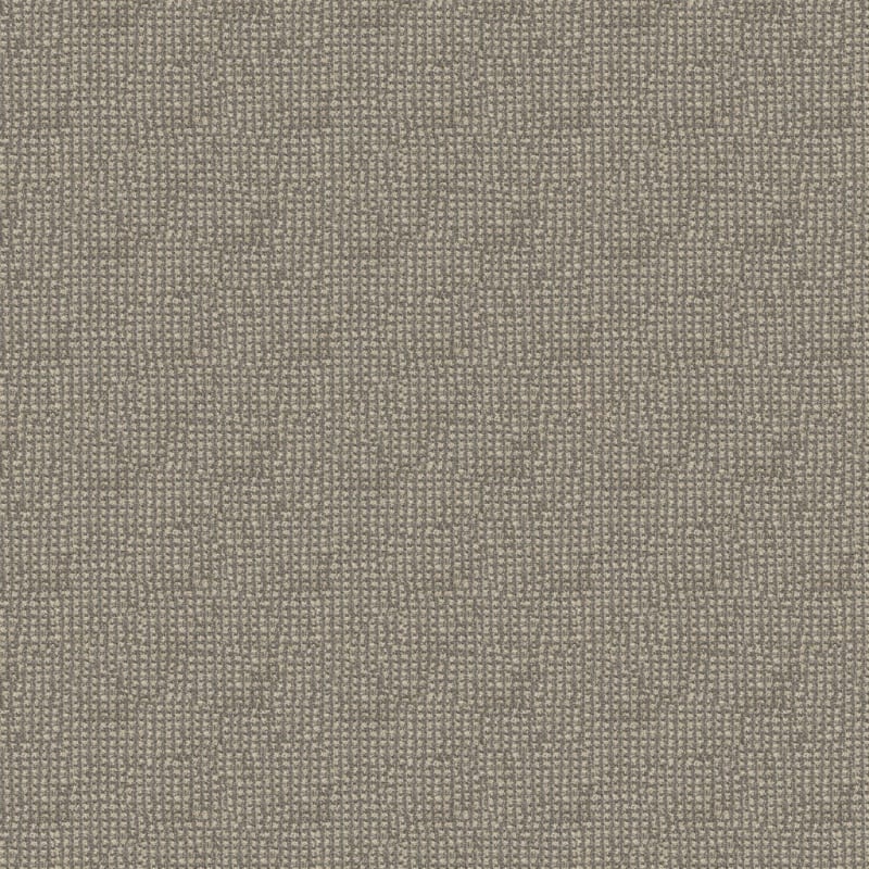 Alpha carpet by Masland