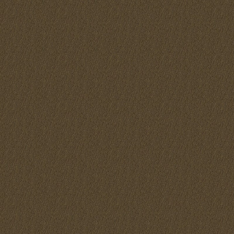 Panache carpet by Masland
