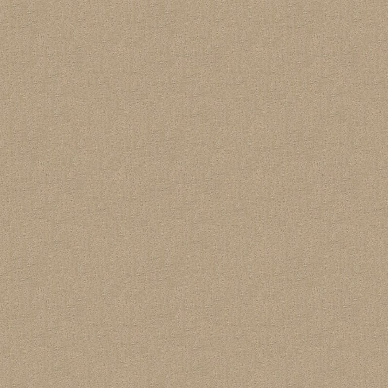 Nature'S Essence carpet by Masland
