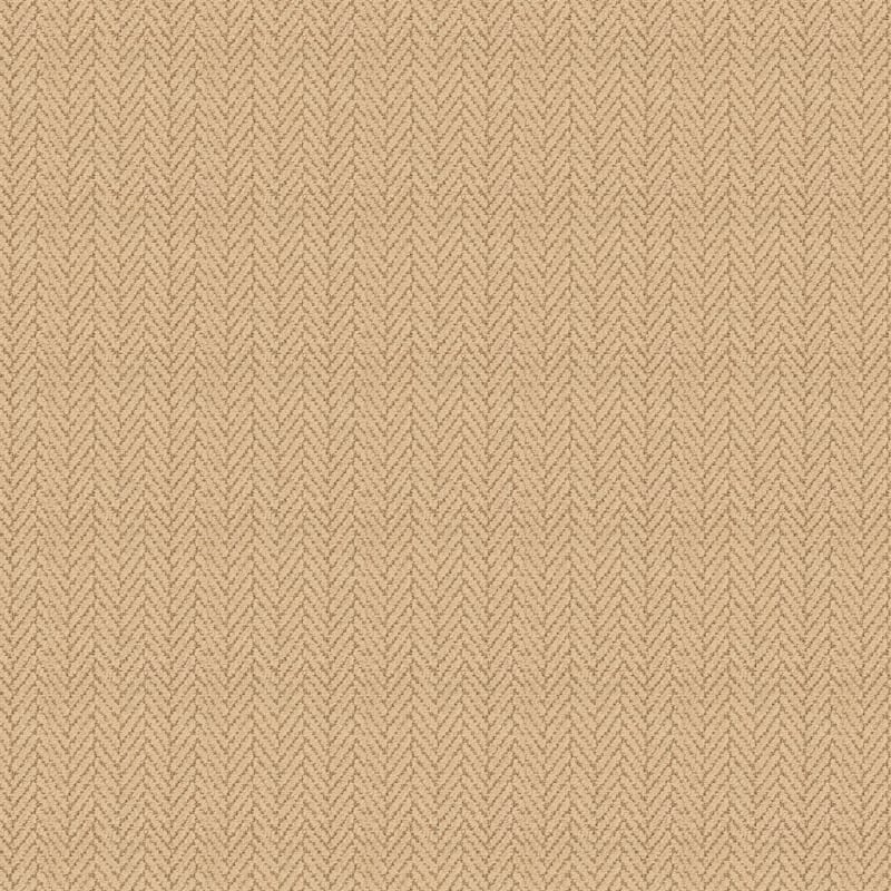 Distinguished carpet by Masland