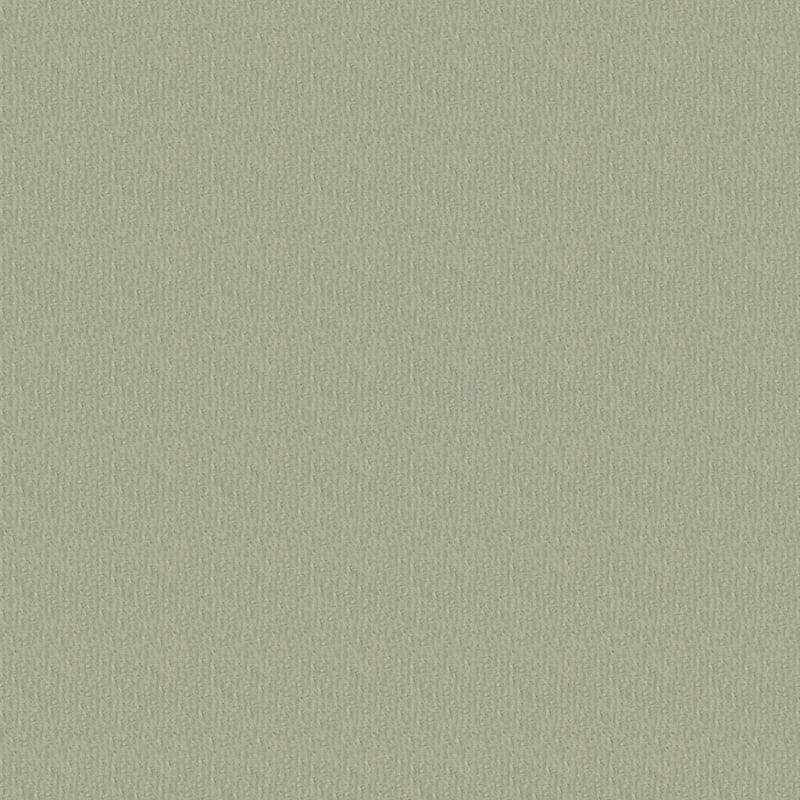 Pinehurst carpet by Masland