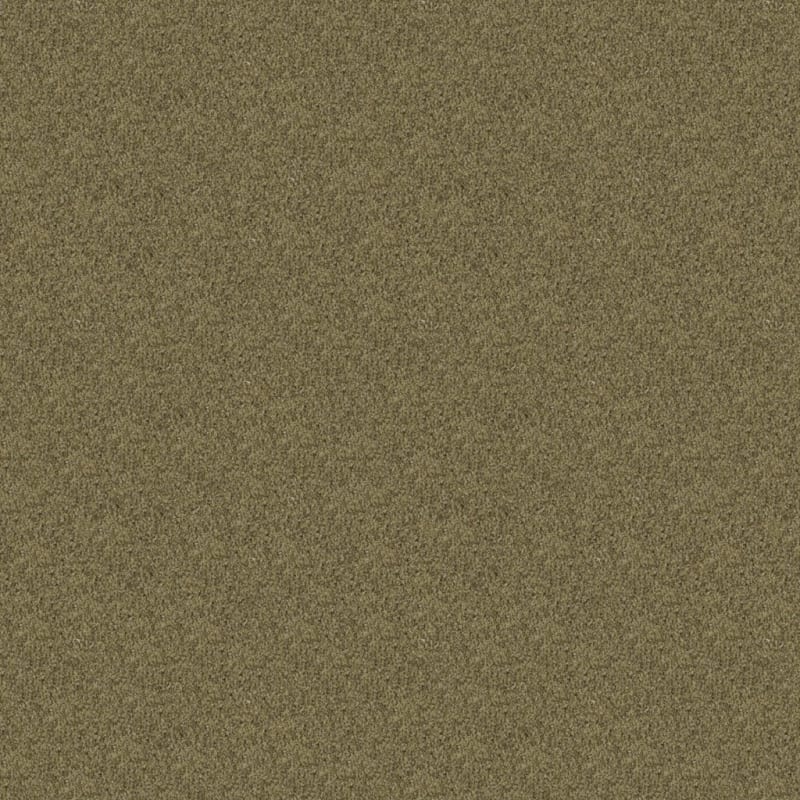Oceanside carpet by Masland