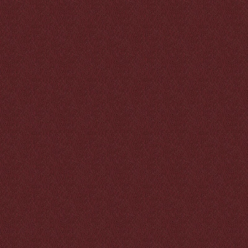Panache carpet by Masland