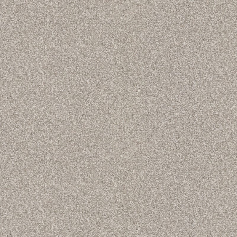 Tracker carpet by Masland