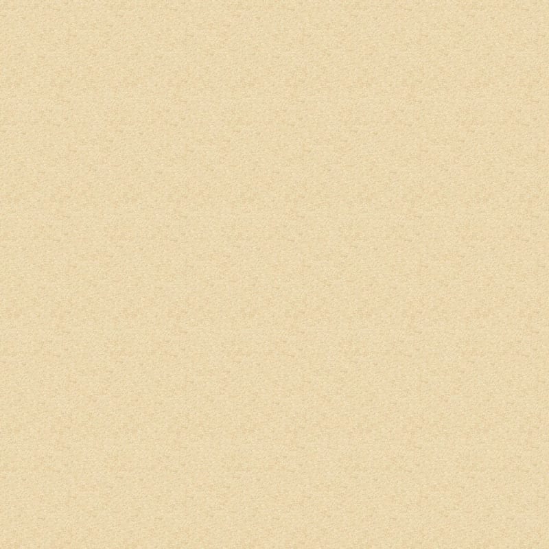 Morgan Bay carpet by Masland