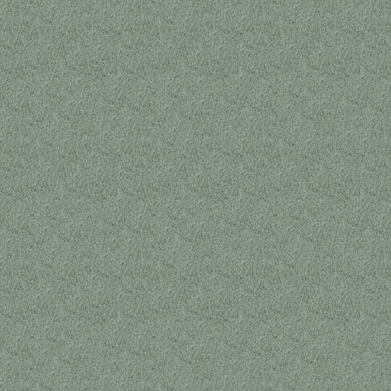 Oceanside carpet by Masland