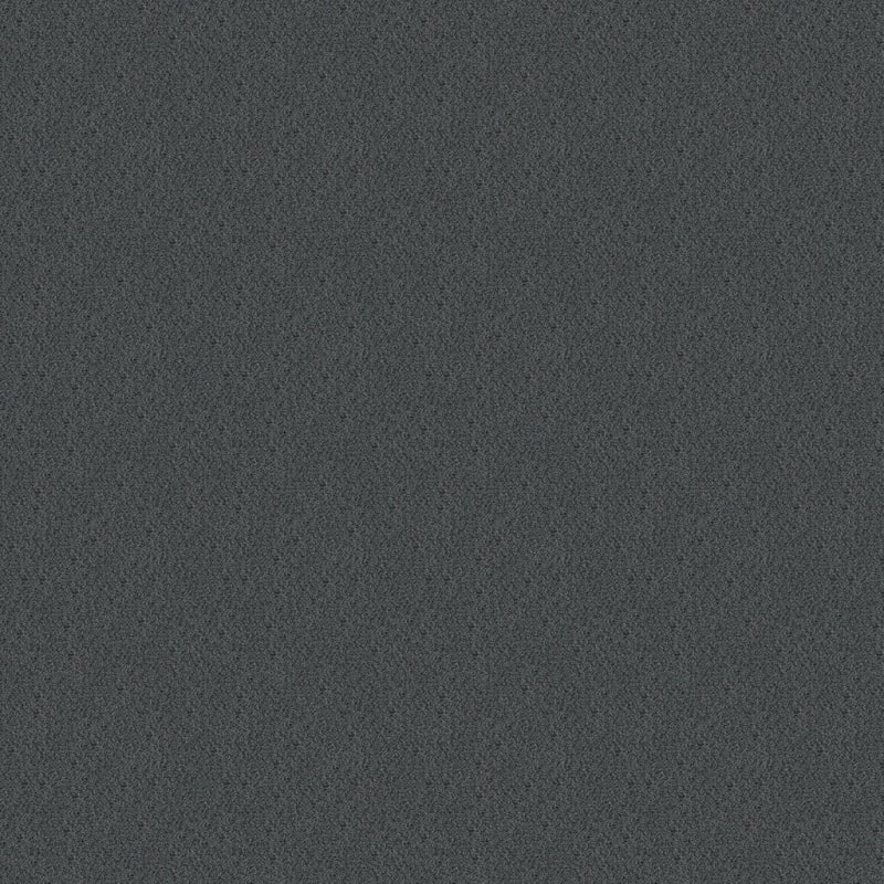 Panache carpet by Masland