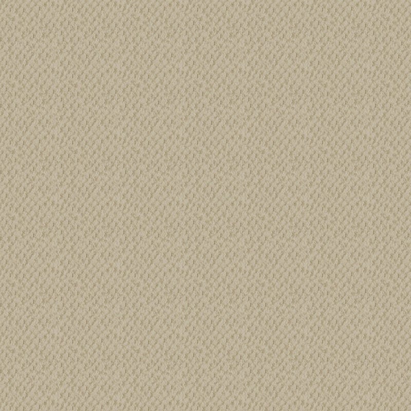 Seurat carpet by Masland