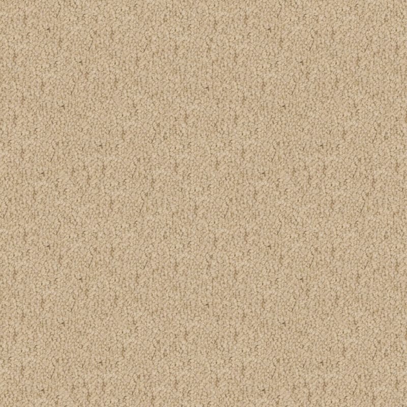 Wexford carpet by Masland