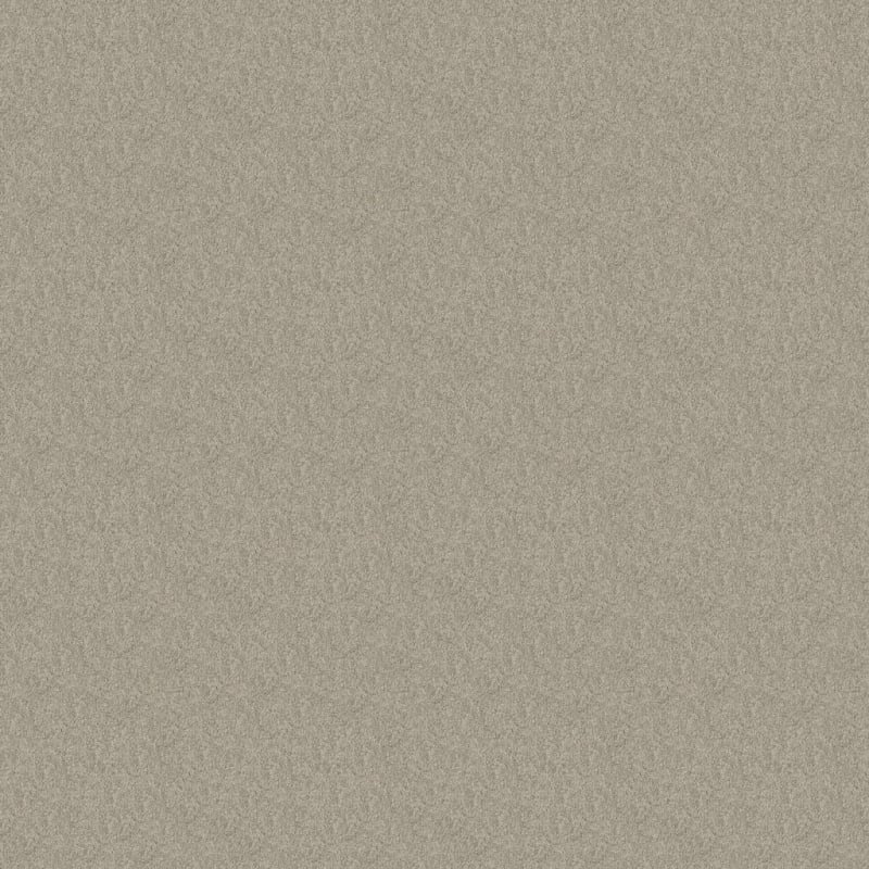 Miami carpet by Masland