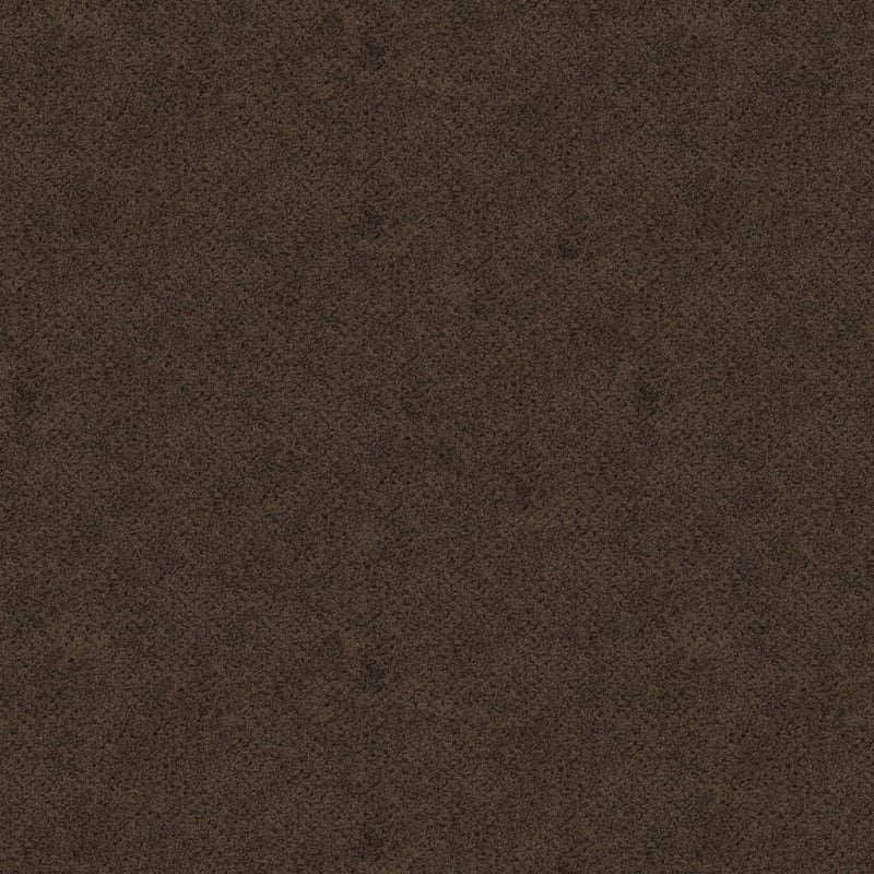 Montauk carpet by Masland