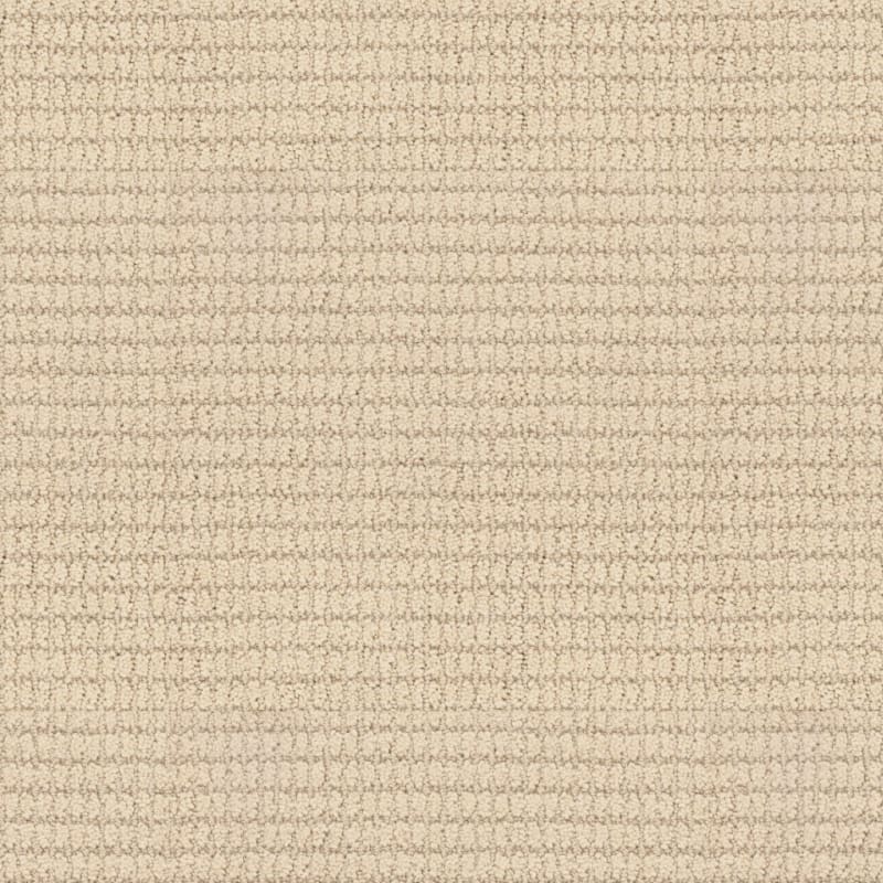 Defined carpet by Masland