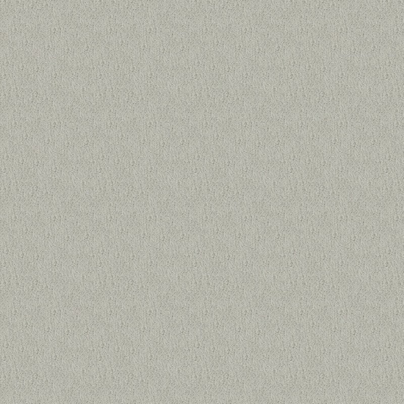 Panache carpet by Masland