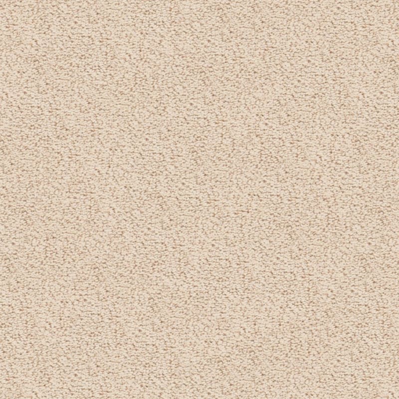 Marina Del Mar carpet by Masland