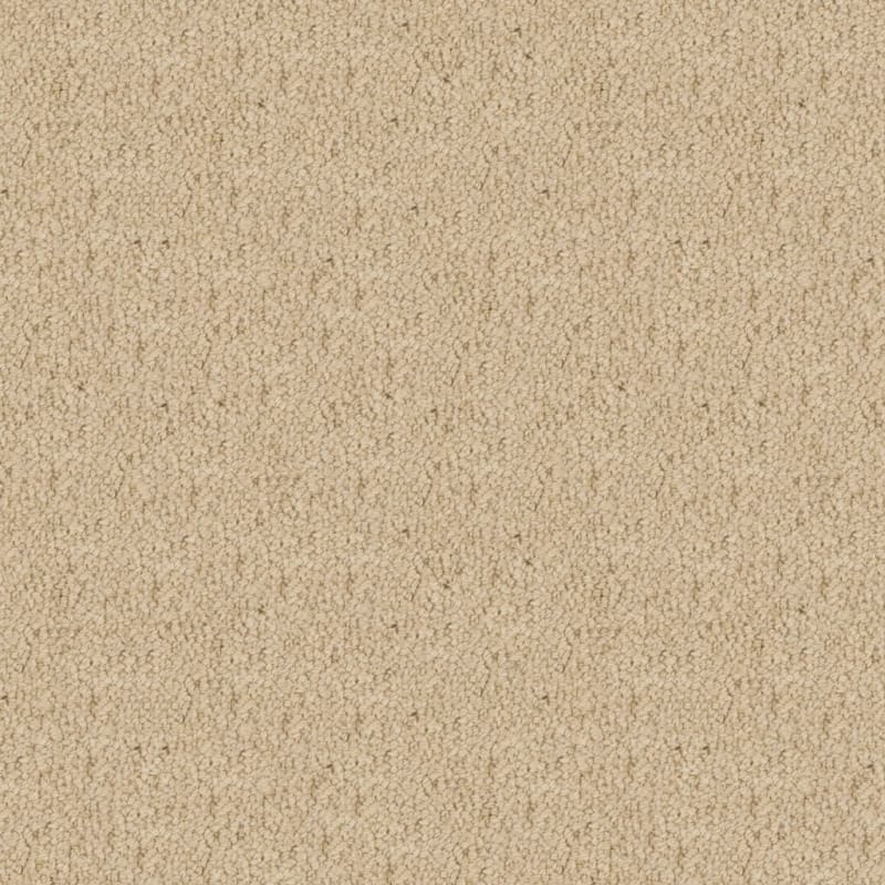 Wexford carpet by Masland