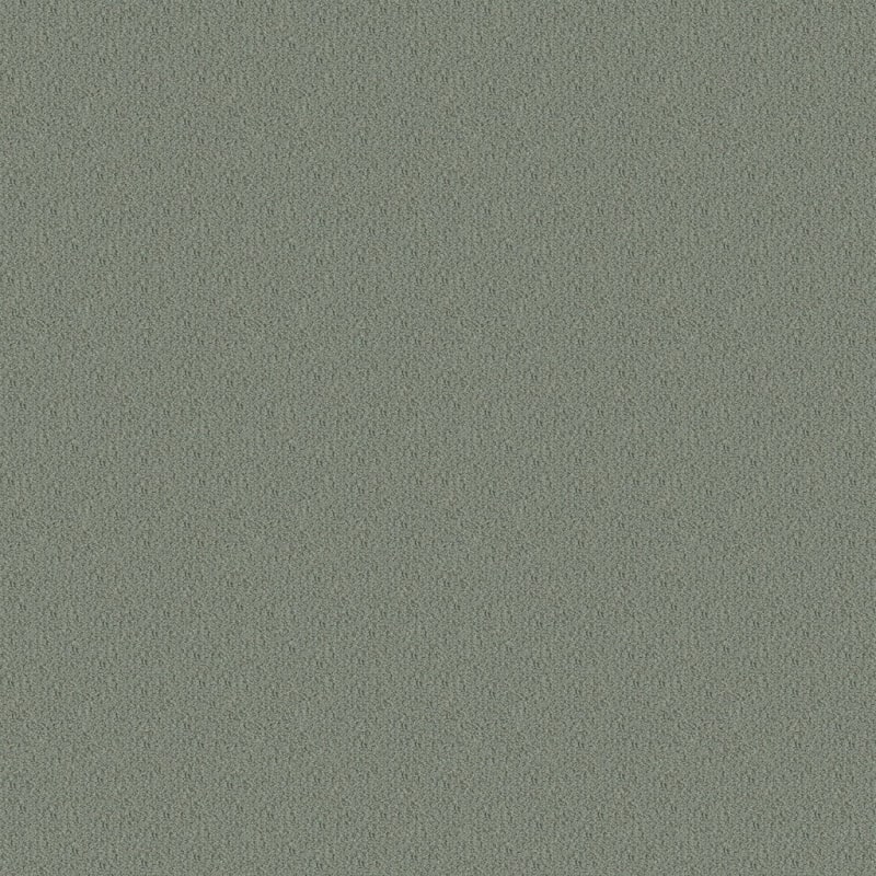 Panache carpet by Masland