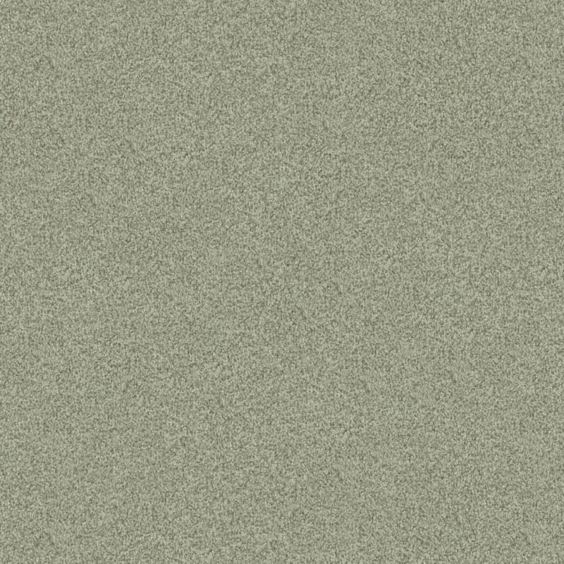 Santa Rosa carpet by Masland