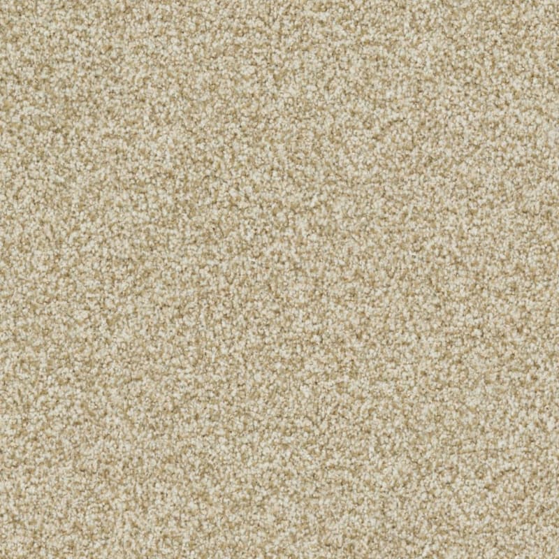 St. Augustine carpet by Masland