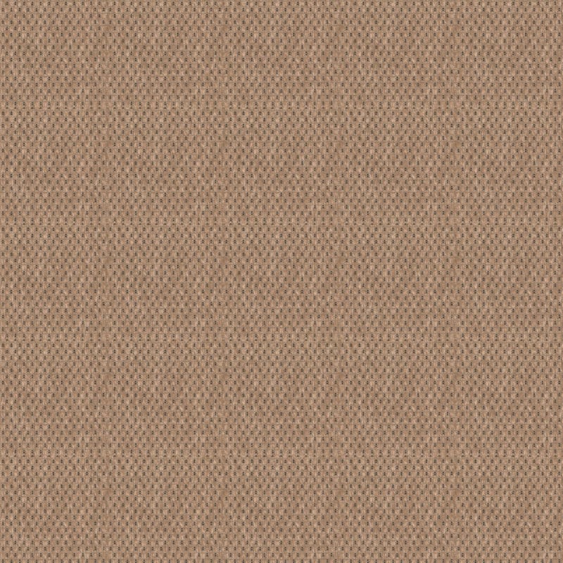 Trinidad carpet by Masland