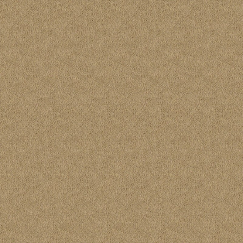 Panache carpet by Masland