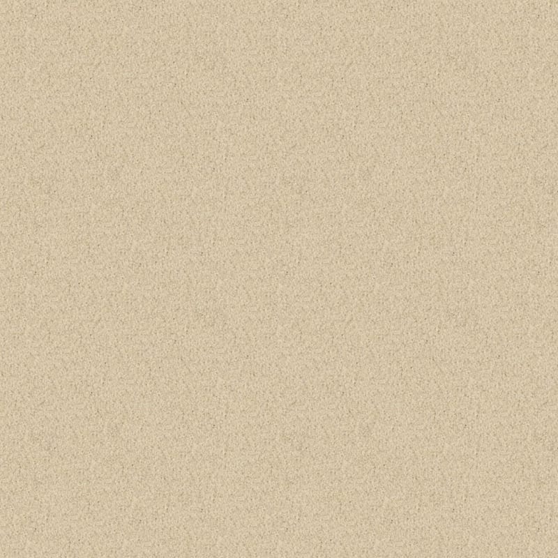Oceanside carpet by Masland
