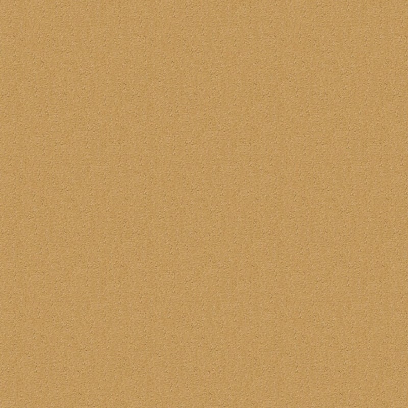 Nature'S Essence carpet by Masland