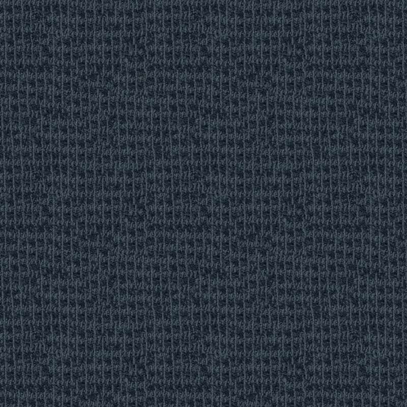 Hudson Valley carpet by Masland