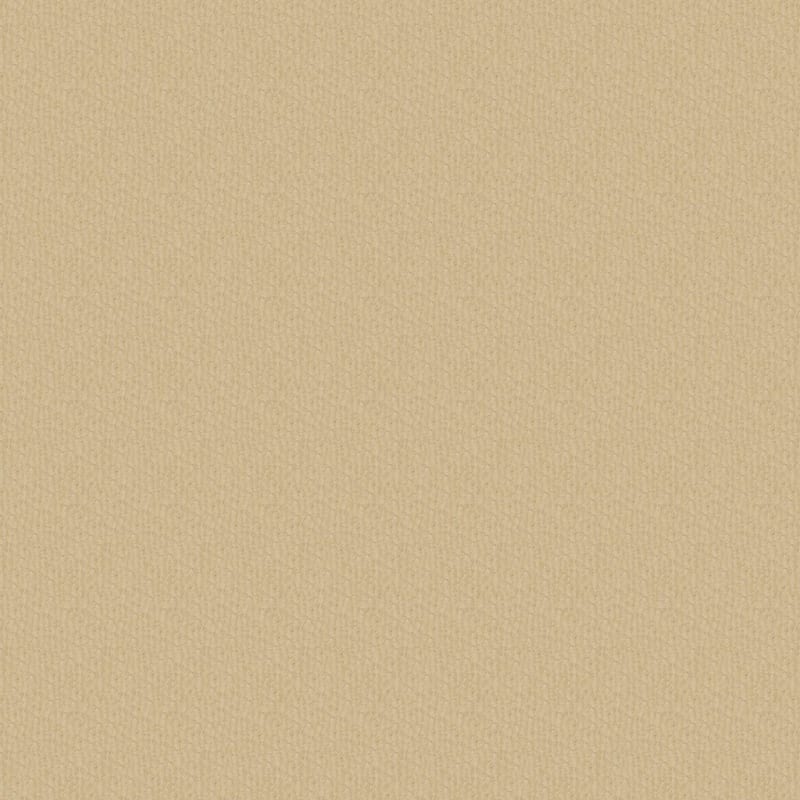 Pinehurst carpet by Masland
