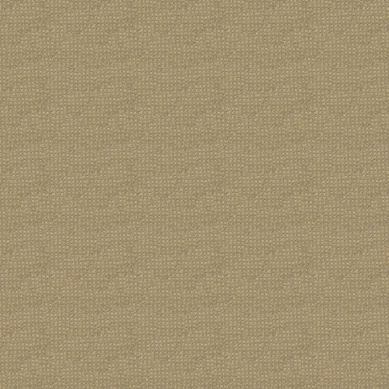 Alpha carpet by Masland