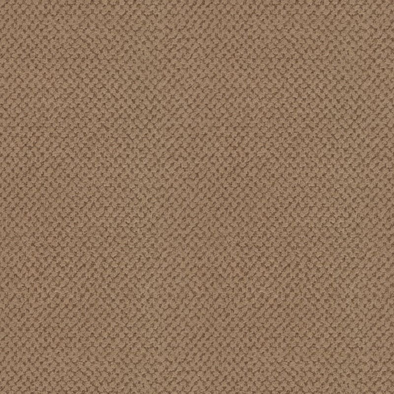 La Parade carpet by Masland