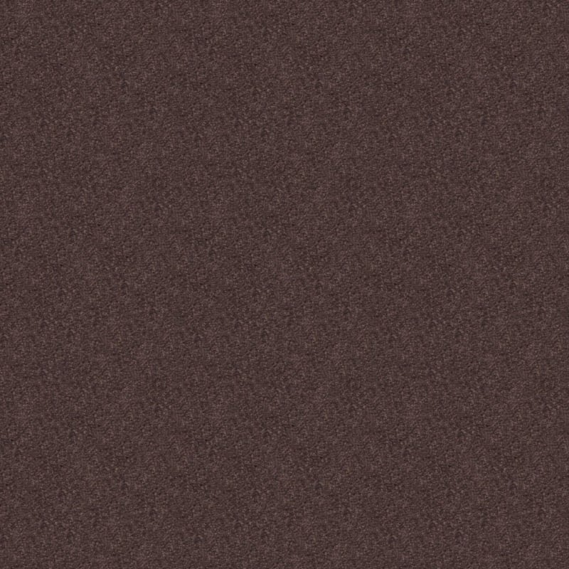 Embrace carpet by Masland