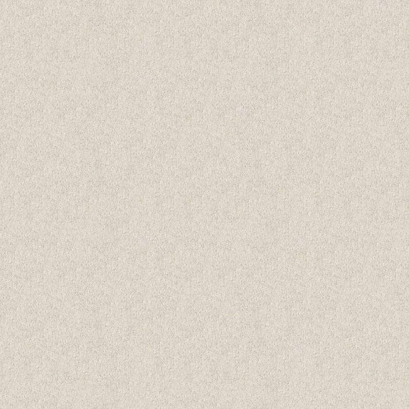 Oceanside carpet by Masland