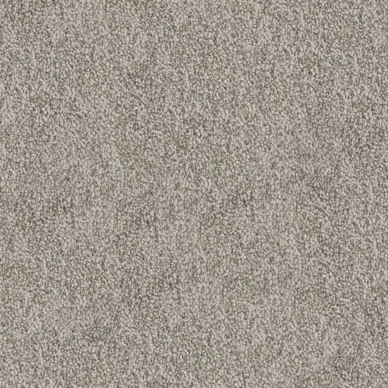 Buena Vida carpet by Masland