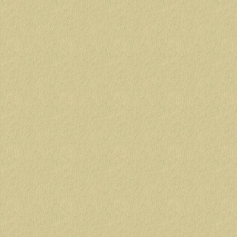 Panache carpet by Masland