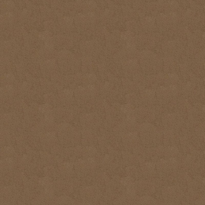 Silk Touch carpet by Masland