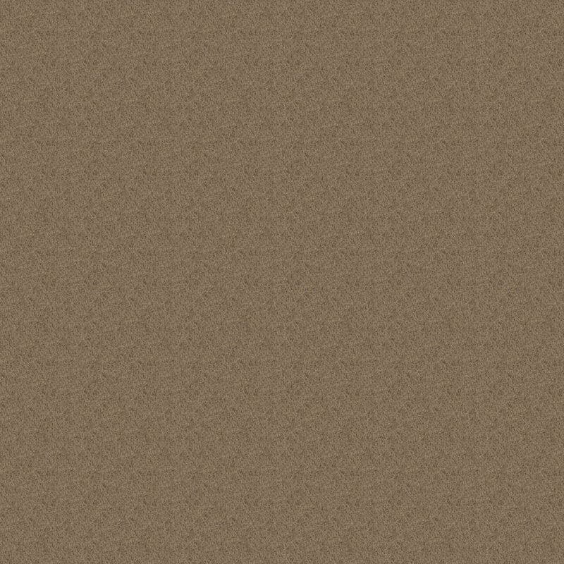 Miami carpet by Masland