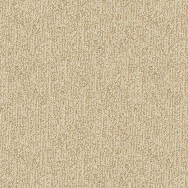 Mesa Verde carpet by Masland