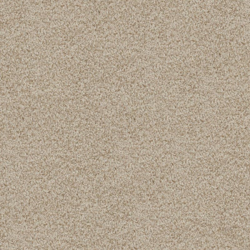 Boca Raton carpet by Masland