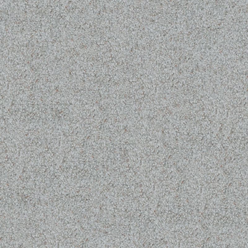 Boca Raton carpet by Masland