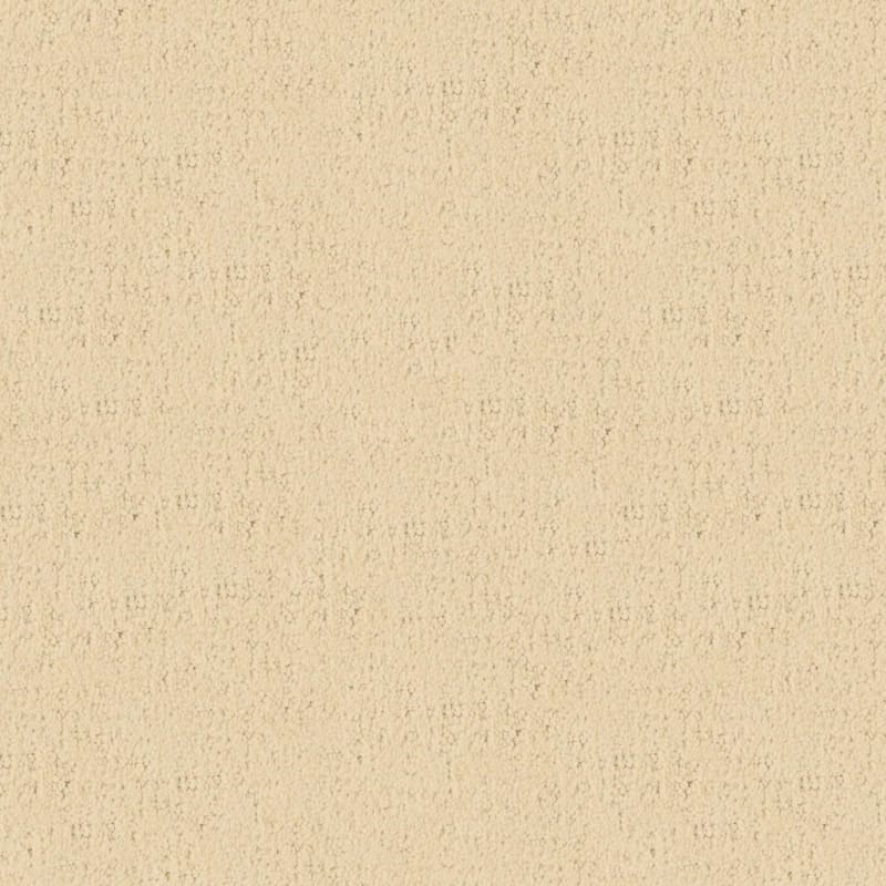 Santa Barbara carpet by Masland