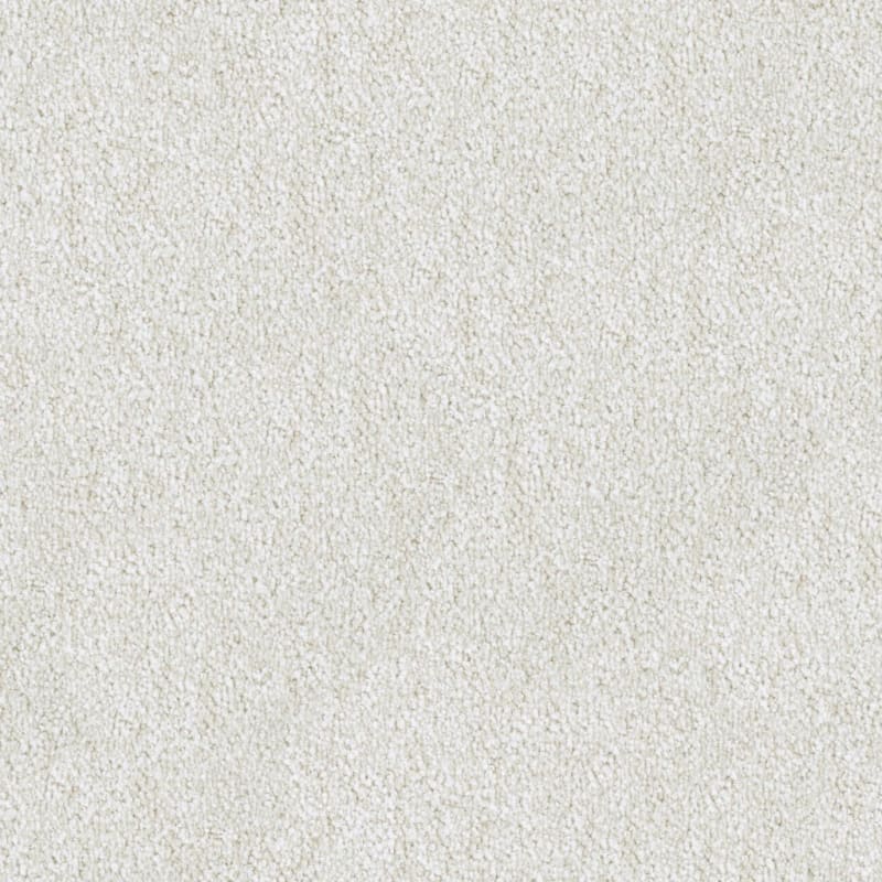 Buena Vida carpet by Masland