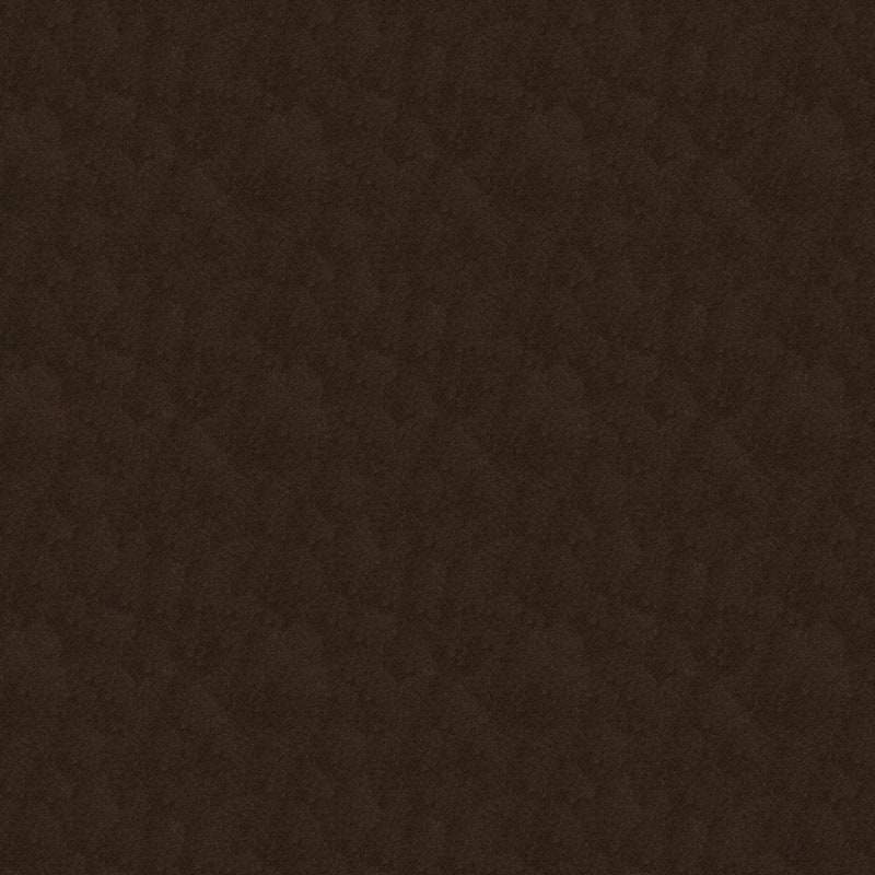Silk Touch carpet by Masland