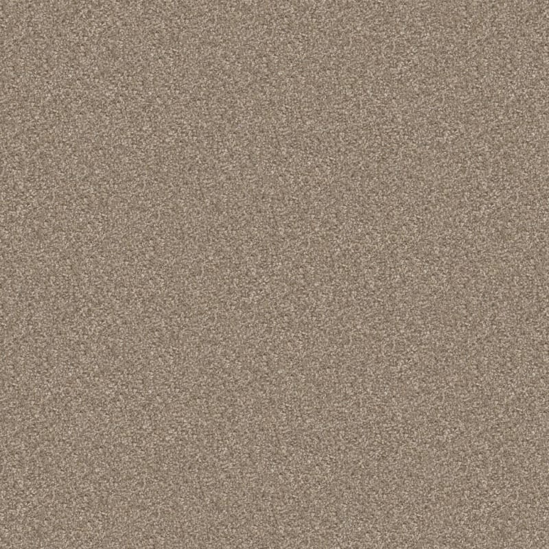 Tracker carpet by Masland