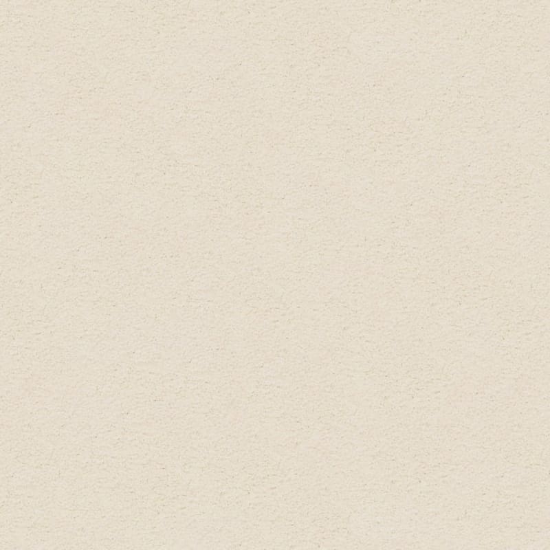 Knockout carpet by Masland