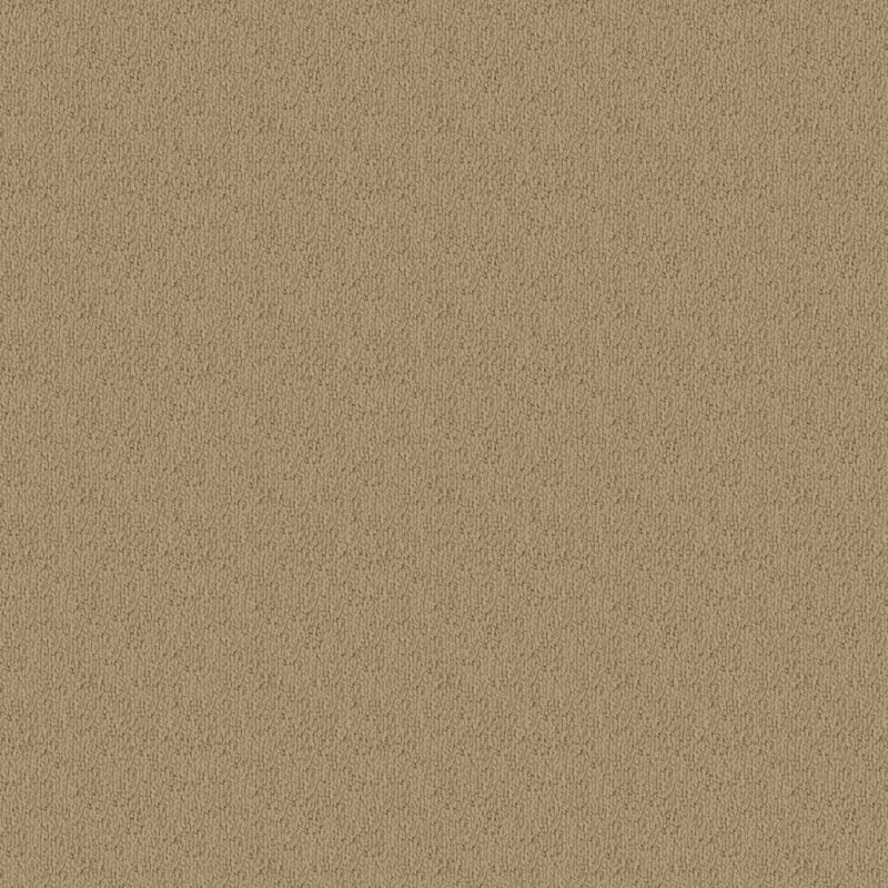 Novellino carpet by Masland