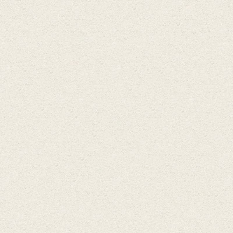 Vero Beach carpet by Masland